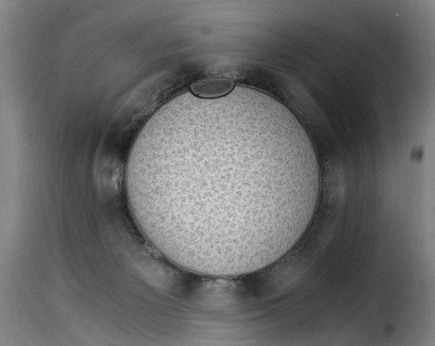 X0000115280125200911201801