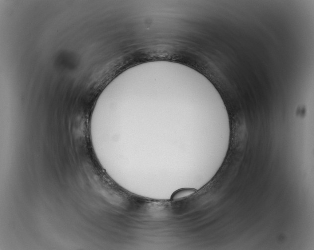 X0000115280126200911201801