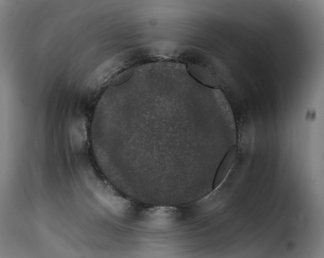 X0000115280128200911201801