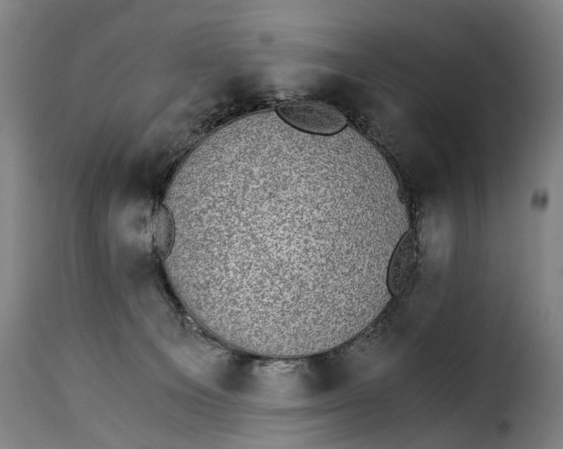 X0000115280129200911201801