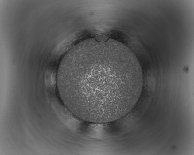 X0000115280131200911201801