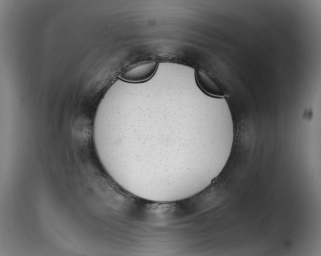 X0000115280135200911201801