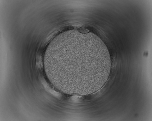 X0000115280136200911201801