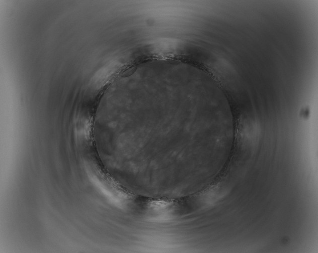 X0000115280139200911201801