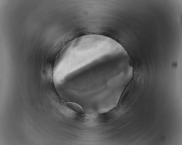 X0000115280143200911201801