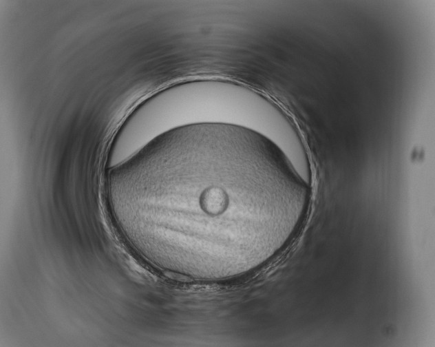 X0000115280145200911201800