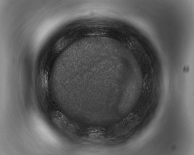 X0000115280146200911201800