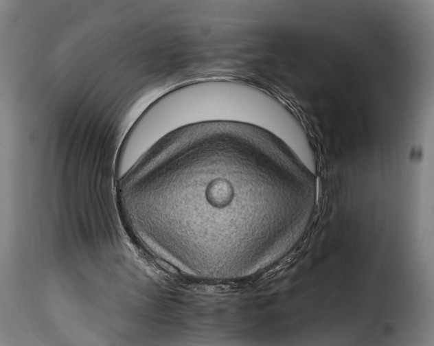 X0000115280147200911201800