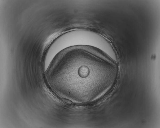 X0000115280149200911201800