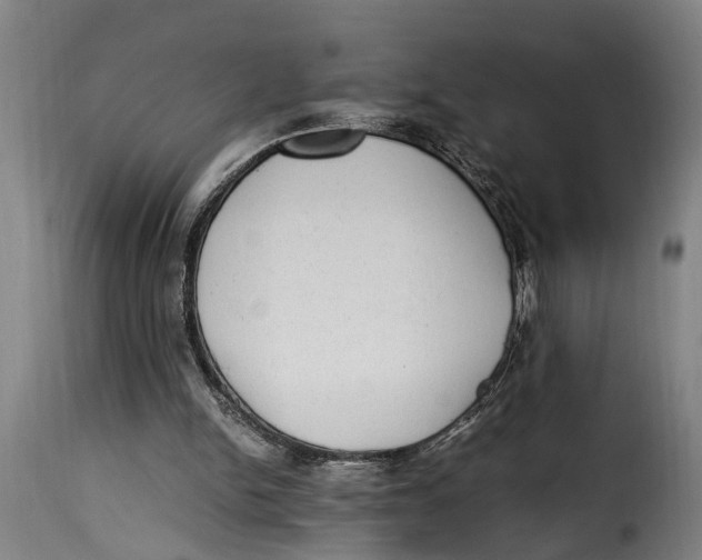 X0000115280150200911201800