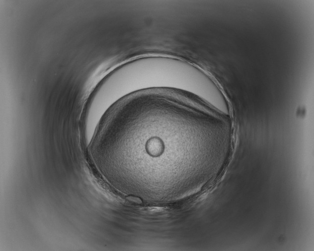 X0000115280151200911201800