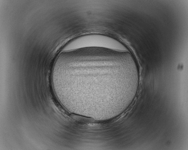 X0000115280154200911201800