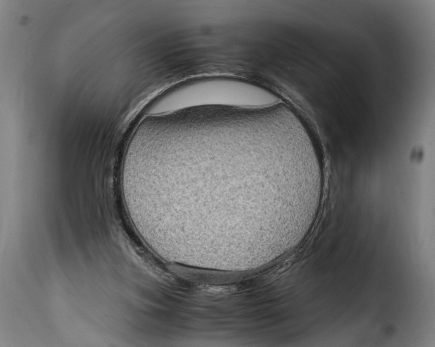 X0000115280155200911201800