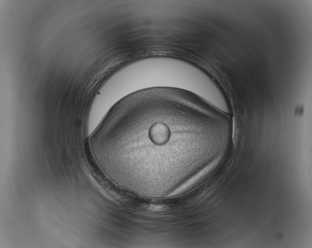 X0000115280157200911201800