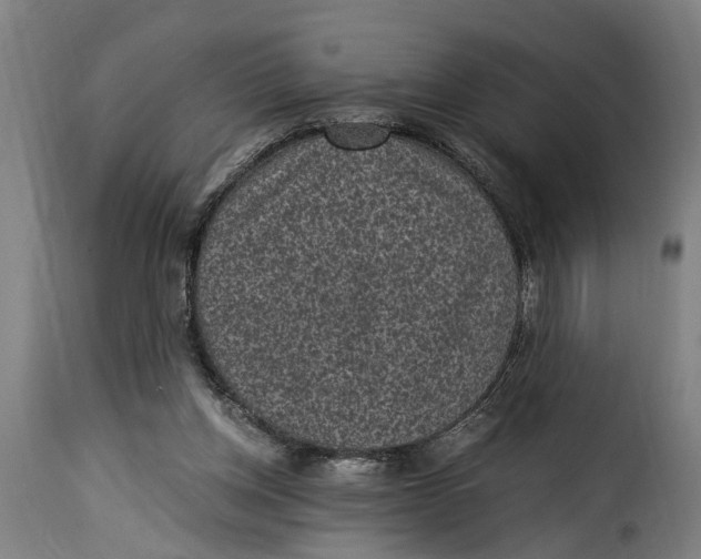 X0000115280158200911201800