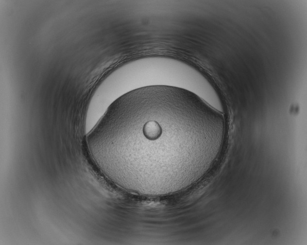 X0000115280161200911201800