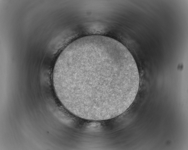 X0000115280162200911201800