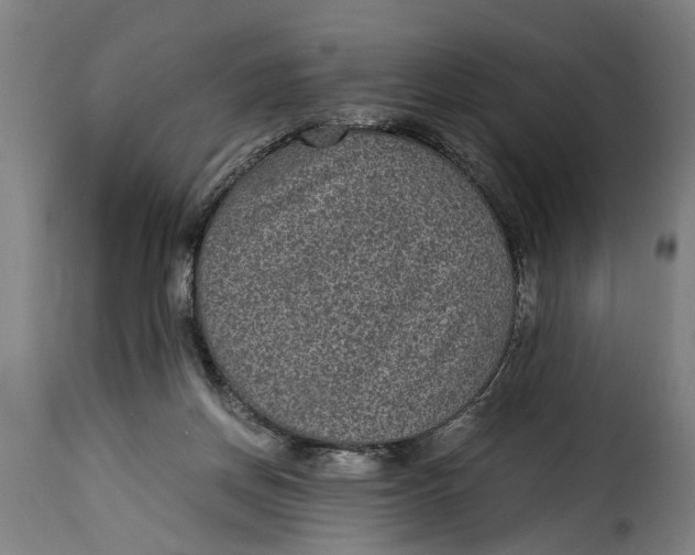 X0000115280166200911201800