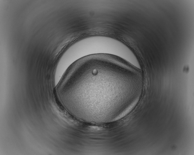 X0000115280167200911201800