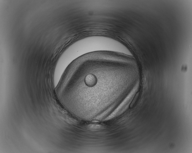 X0000115280169200911201800