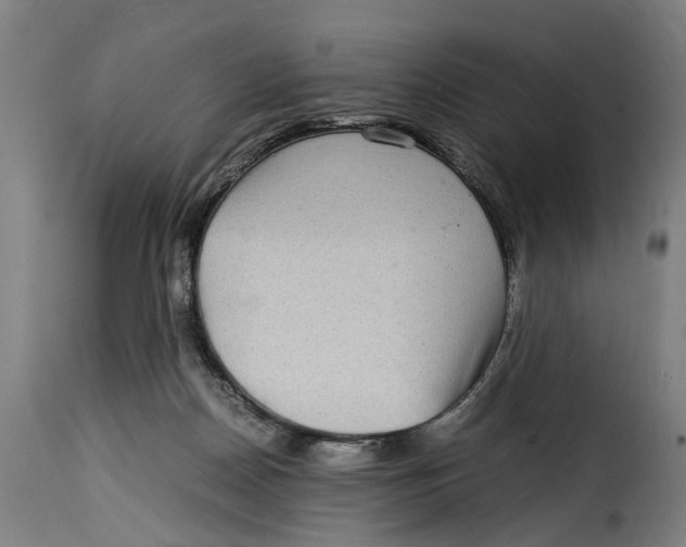 X0000115280170200911201800