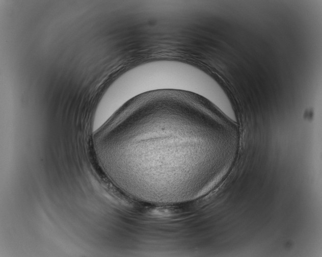 X0000115280171200911201800