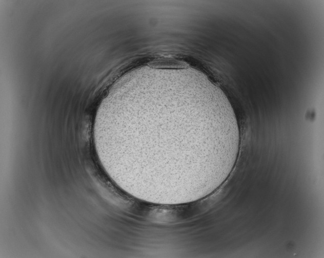 X0000115280174200911201800