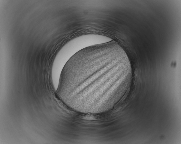 X0000115280177200911201800