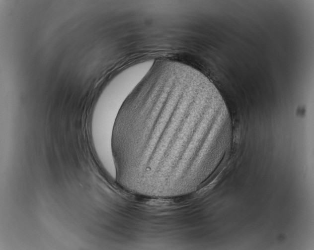 X0000115280179200911201800