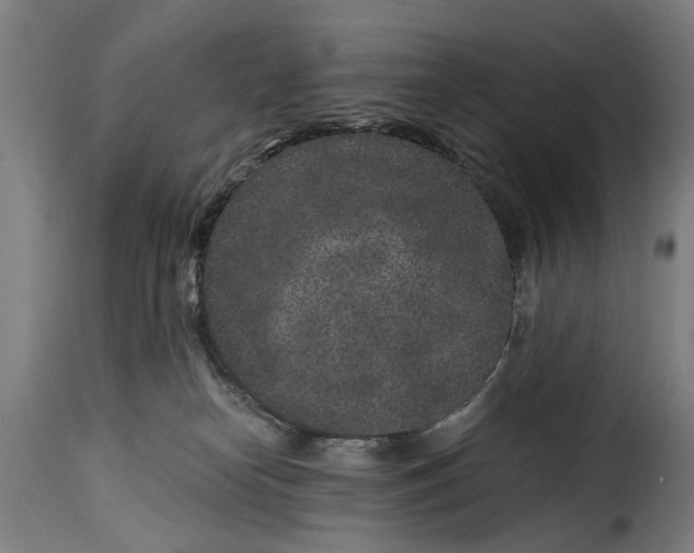 X0000115280182200911201800