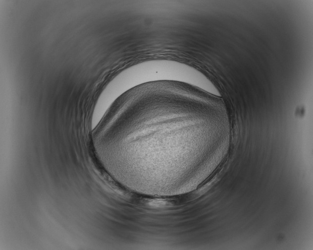 X0000115280183200911201800