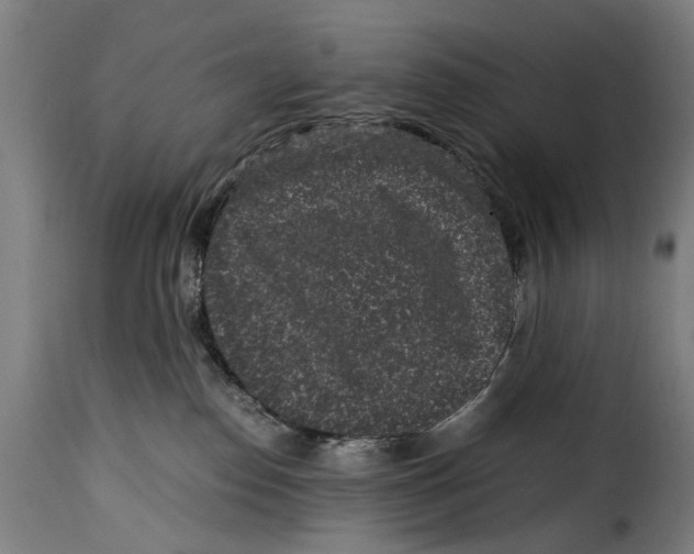 X0000115280186200911201800