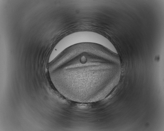 X0000115280187200911201800