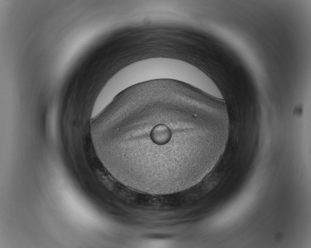 X0000115280189200911201800