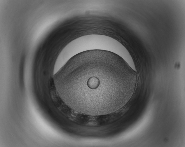 X0000115280191200911201801