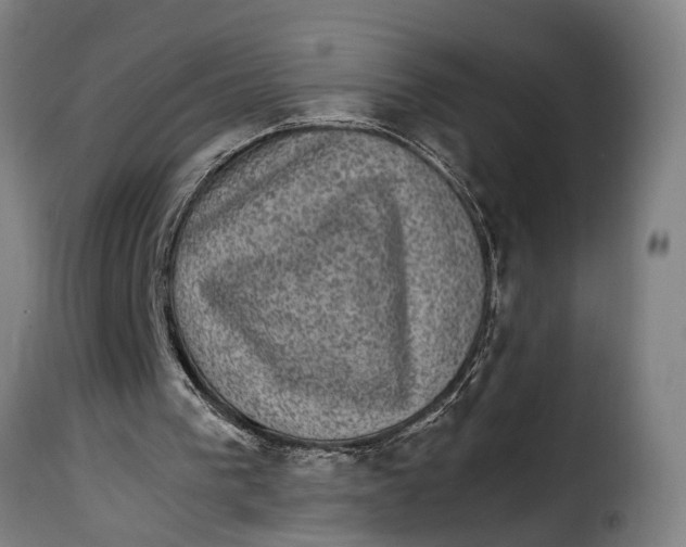 X0000115280193200911201800