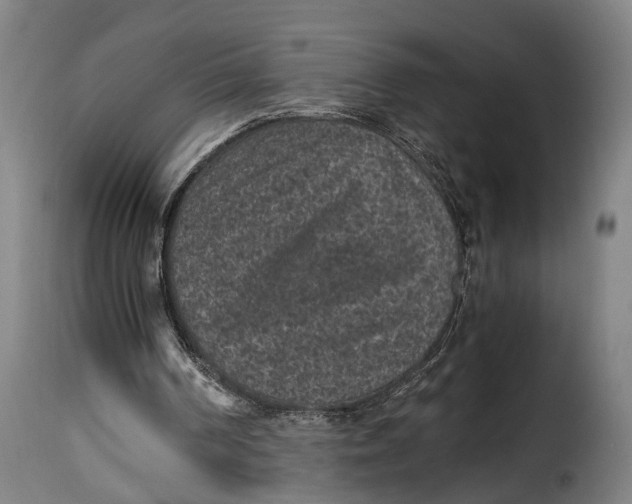 X0000115280194200911201800