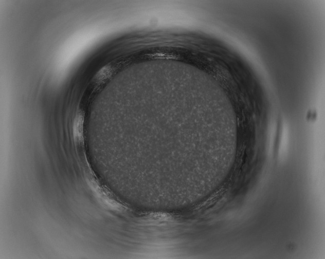 X0000115280195200911201800