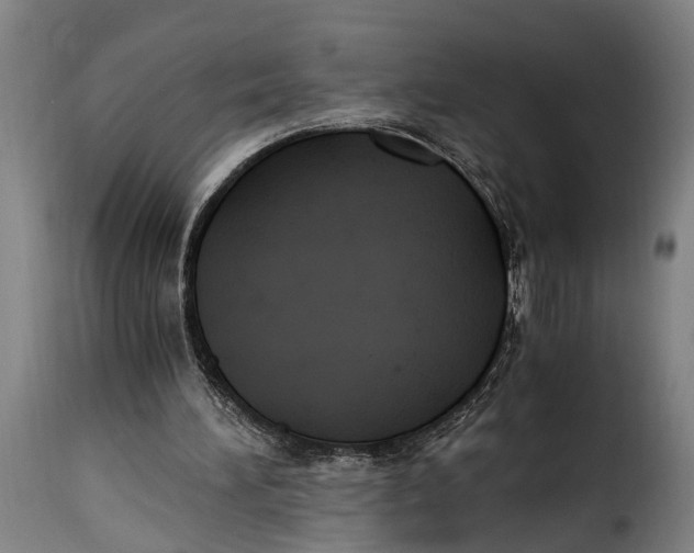 X0000115280196200911201800