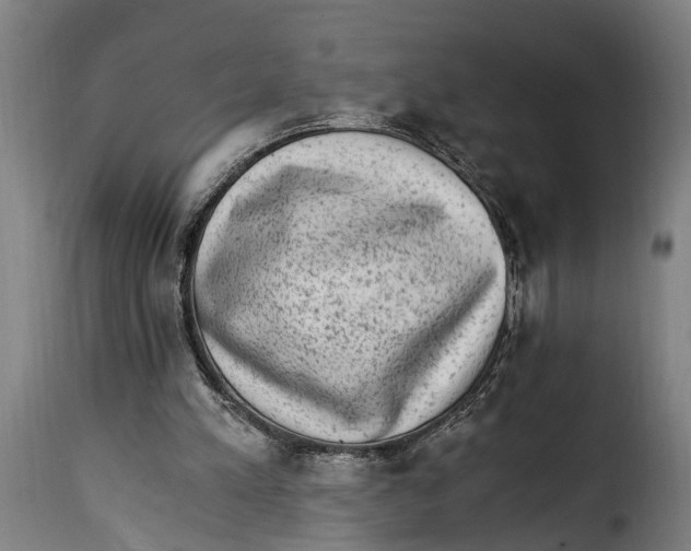 X0000115280197200911201800