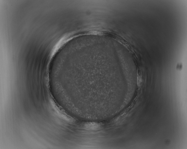 X0000115280198200911201800