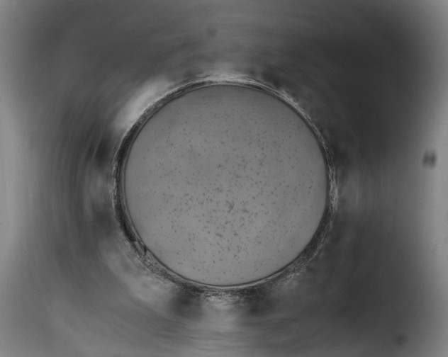 X0000115280199200911201800