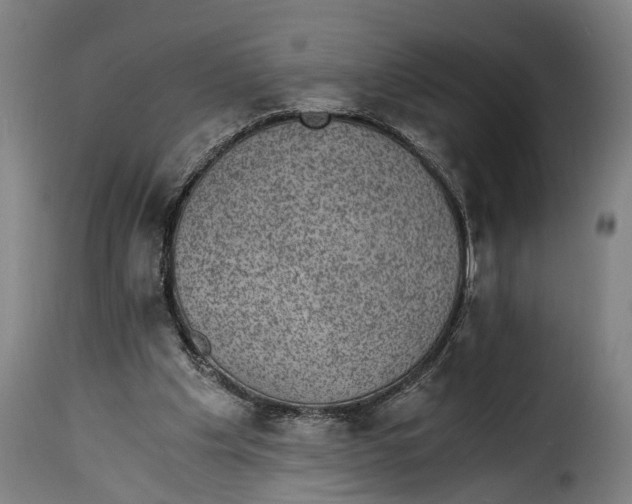 X0000115280201200911201800