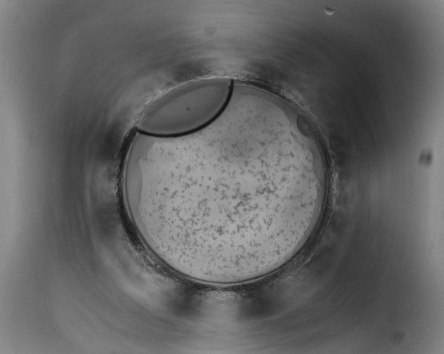 X0000115280203200911201759