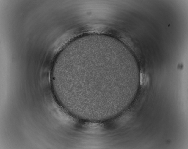 X0000115280205200911201759