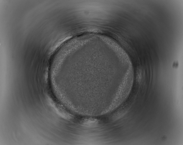 X0000115280206200911201759