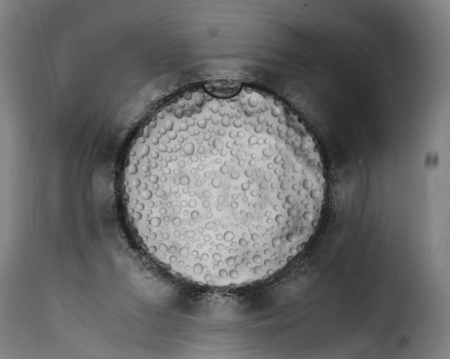 X0000115280207200911201759