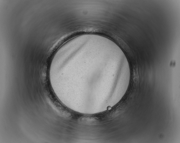 X0000115280208200911201759