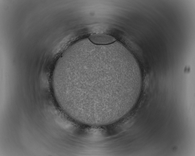 X0000115280209200911201759