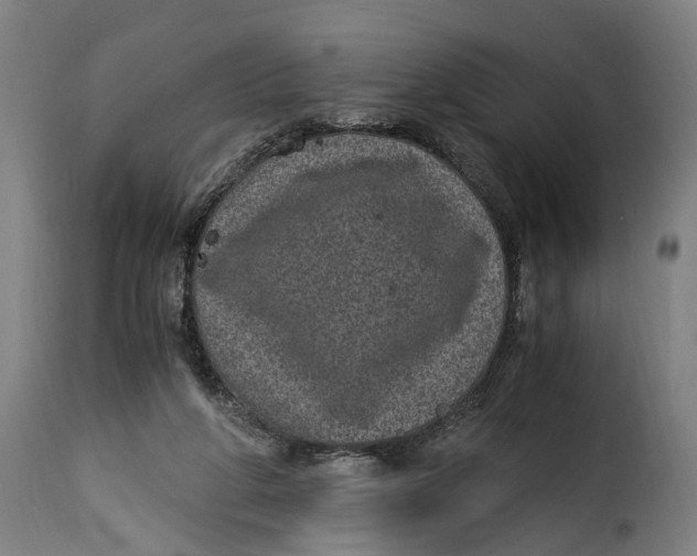 X0000115280210200911201759